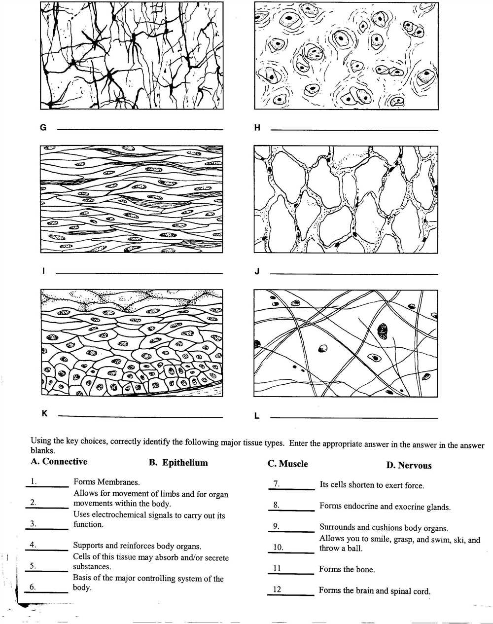 Interactions between cells and tissues