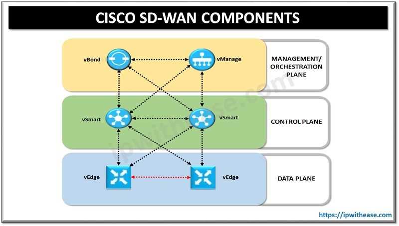 Cisco SD-WAN Exam Questions and Answers