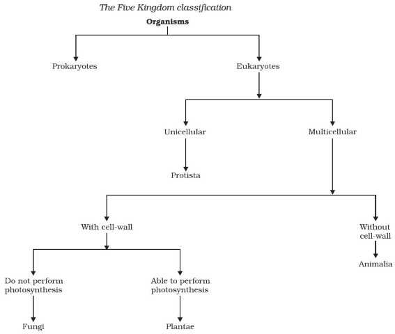 The Importance of Classification
