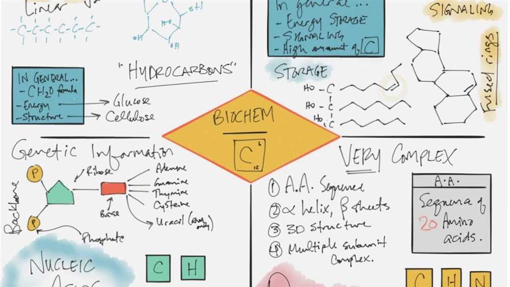 Biochemistry Study Guide Answer Key