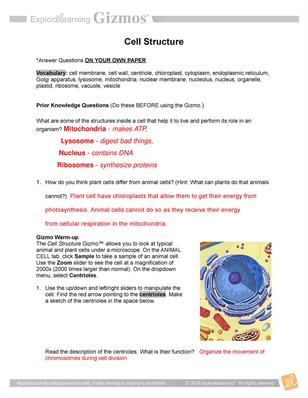 Understanding the concept of convection