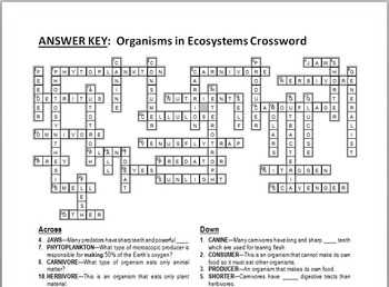 Explanation of Each Term in the Crossword Puzzle