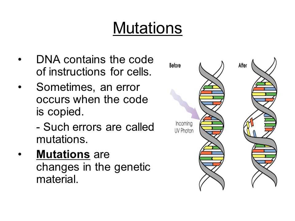 Understanding the Activity of DNA Mutations