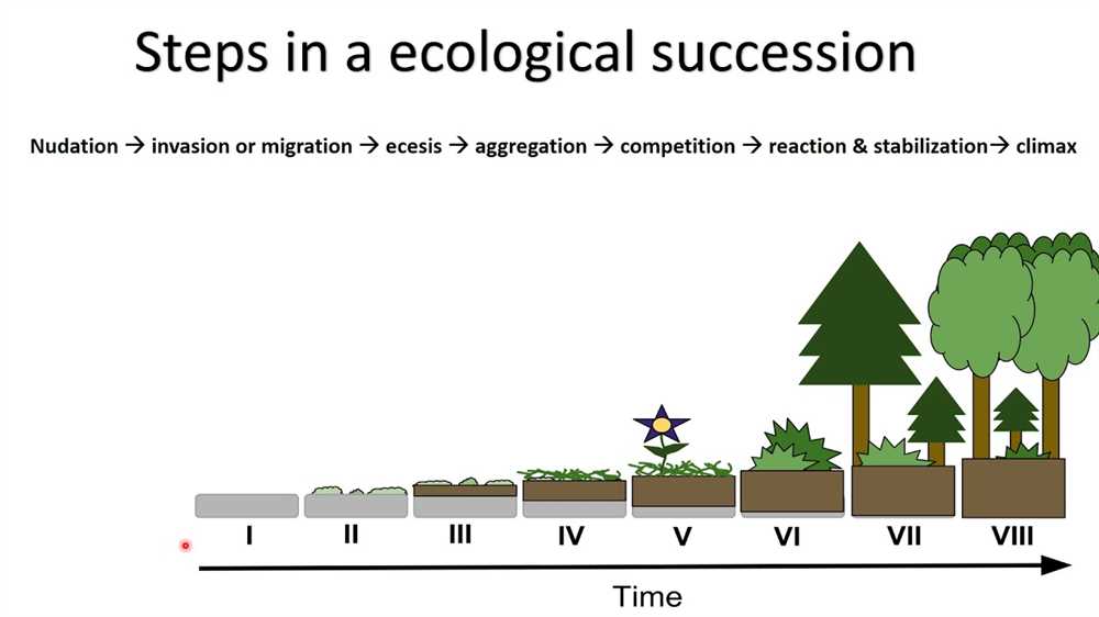 Ecological succession double puzzle answers