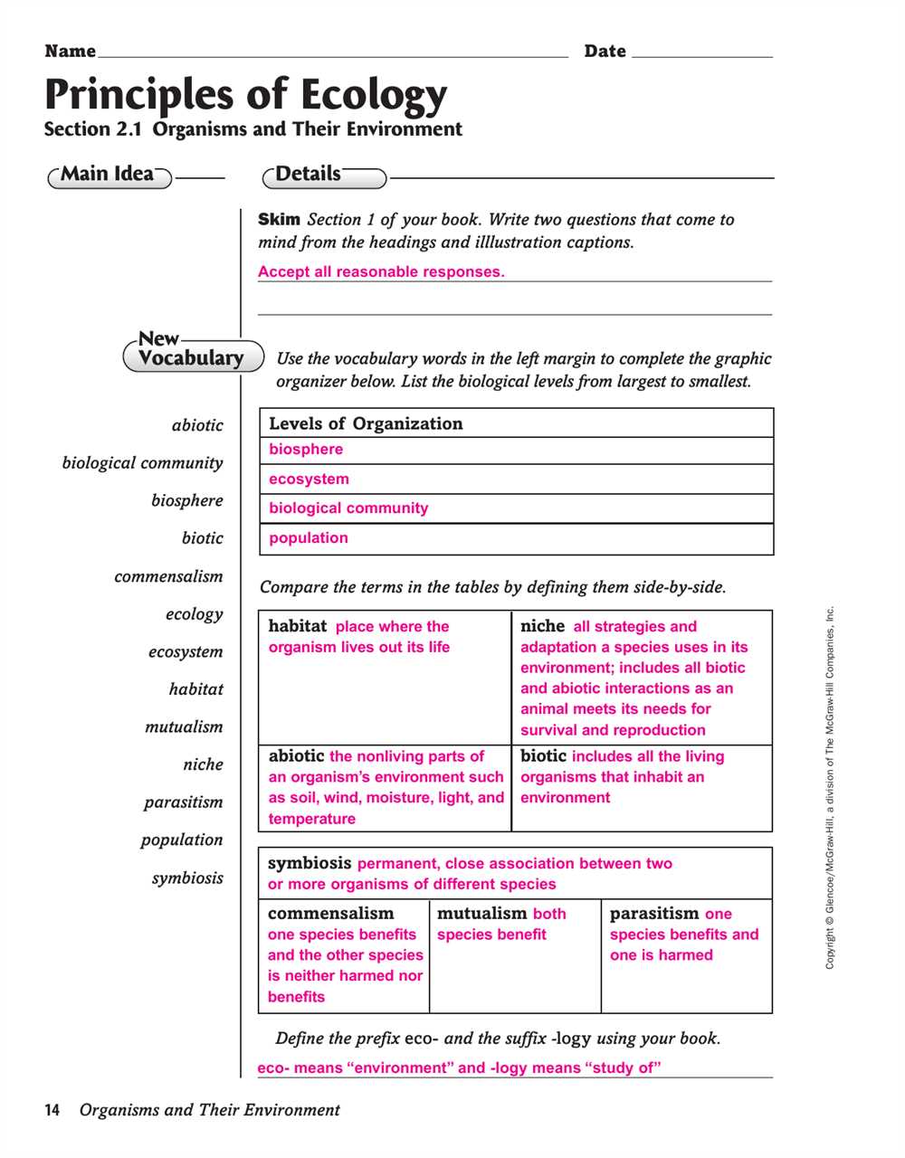 Food Chain and Food Web