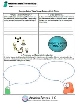 3. Metaphase: