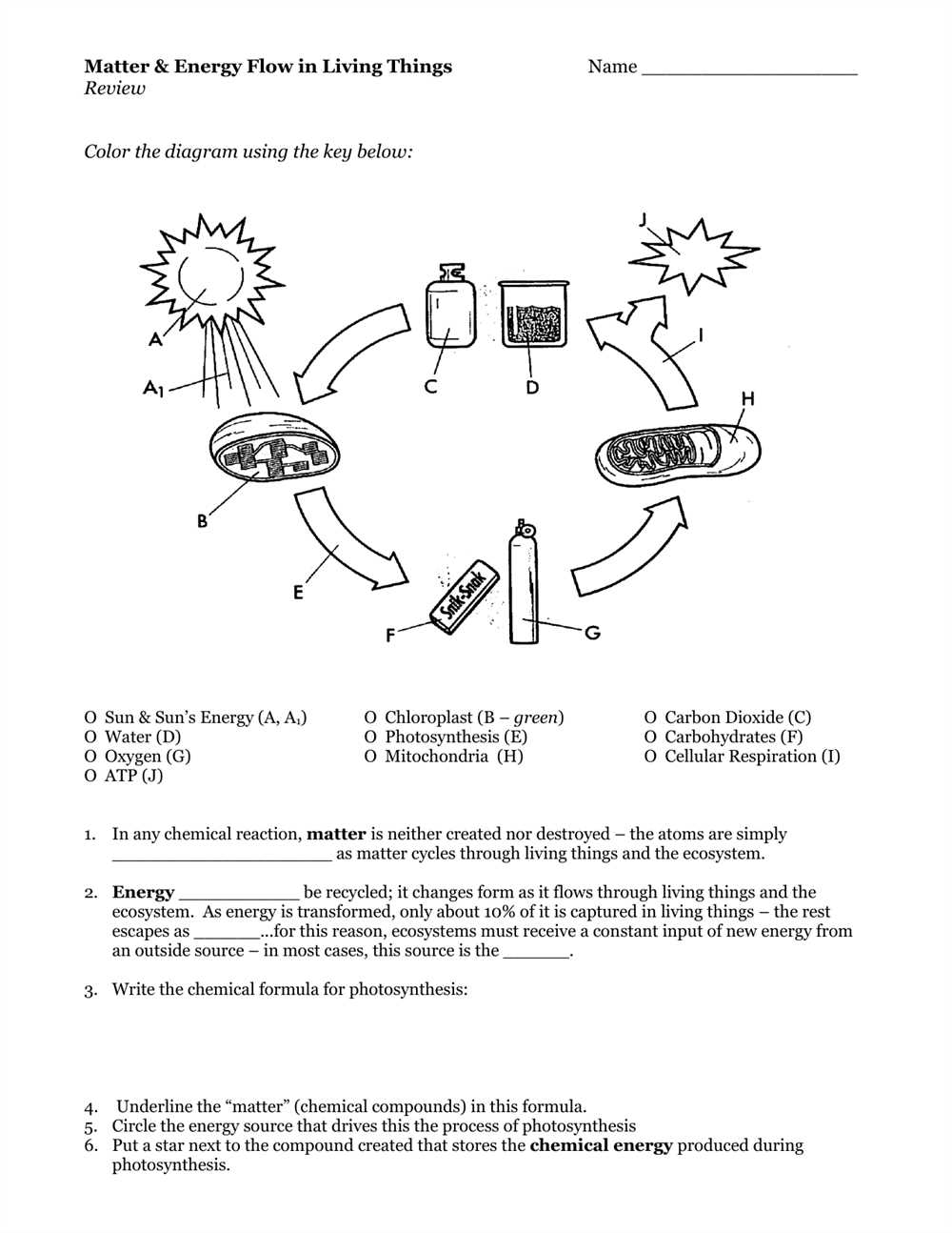 Understanding Energy Flow in Ecosystems: A Comprehensive Worksheet Answer Key