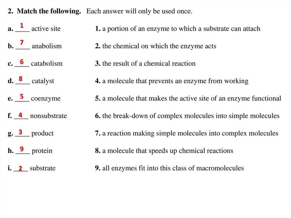 What are Enzymes?