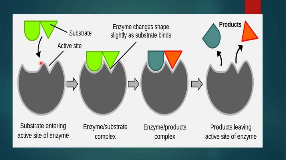 What are enzymes?