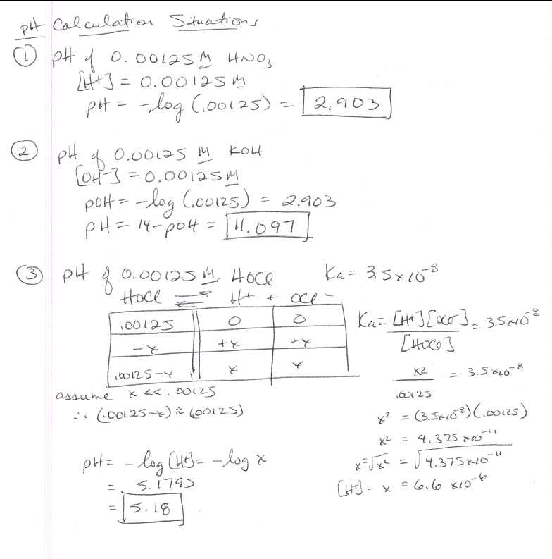 Unraveling The Equilibrium Pogil Answer Key Your Complete Guide