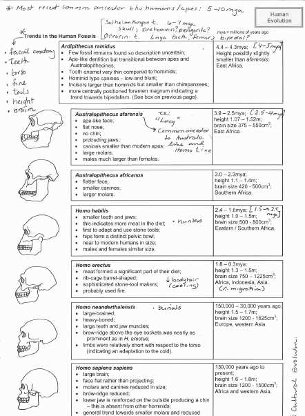 Evolution and selection pogil answers