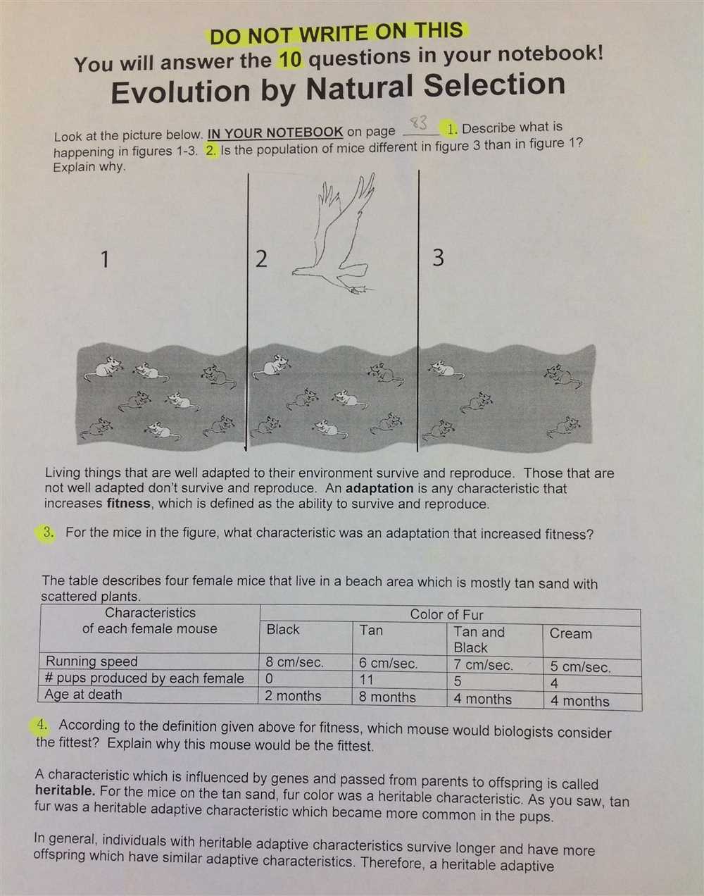 Evolution mutation and selection gizmo answer key