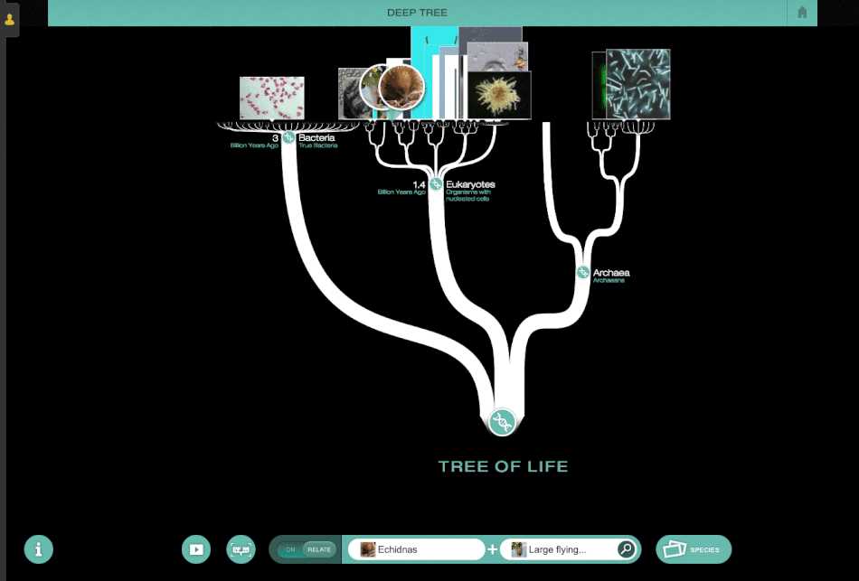 Evolution lab build a tree mission 4 answers