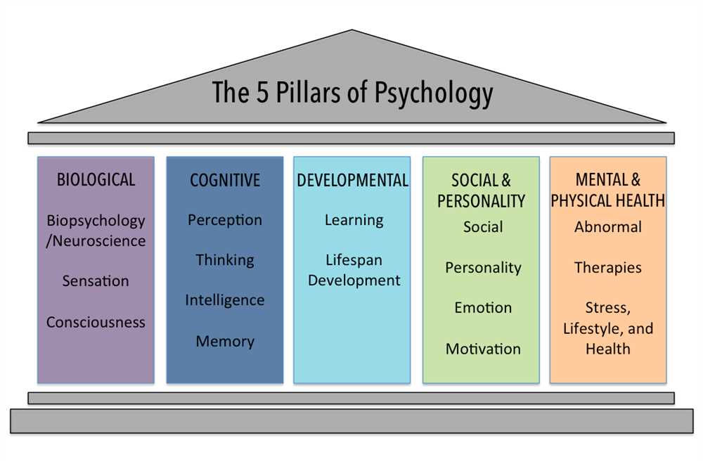 Exam 3 psychology 101