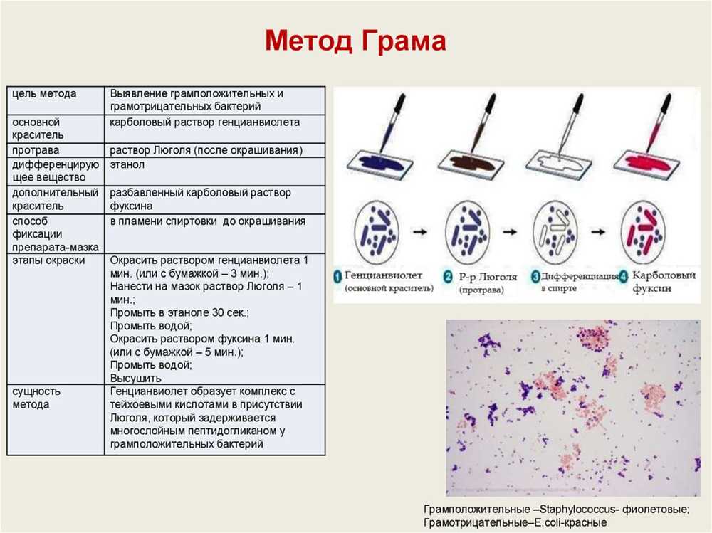 Why is Microbiology Important?