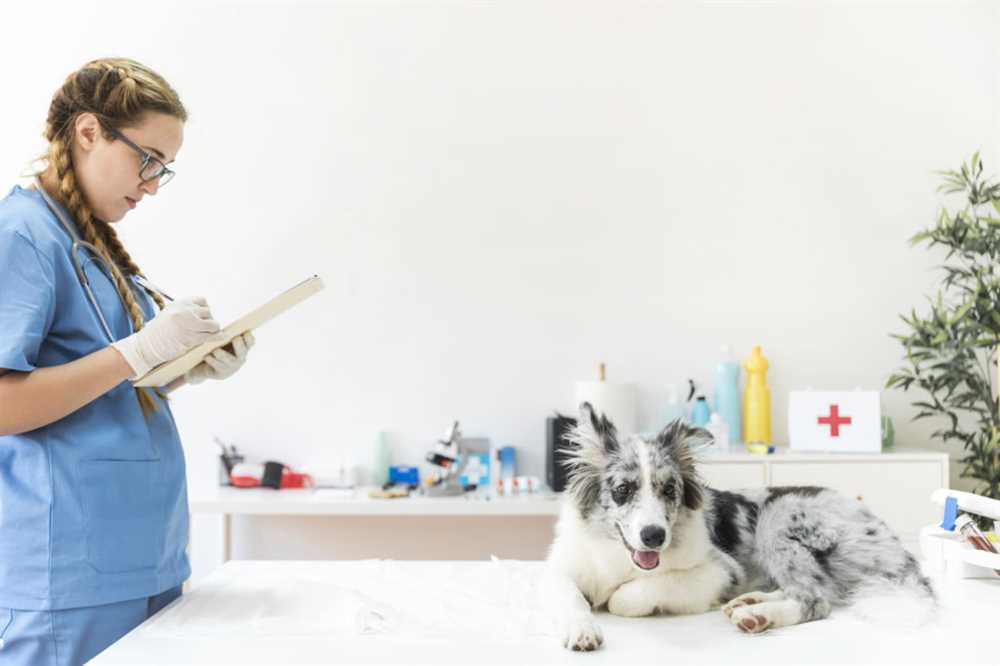 What to expect during a routine veterinary exam