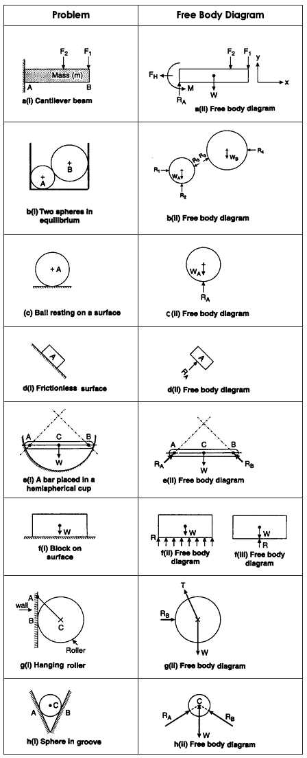 Example Free Body Diagrams