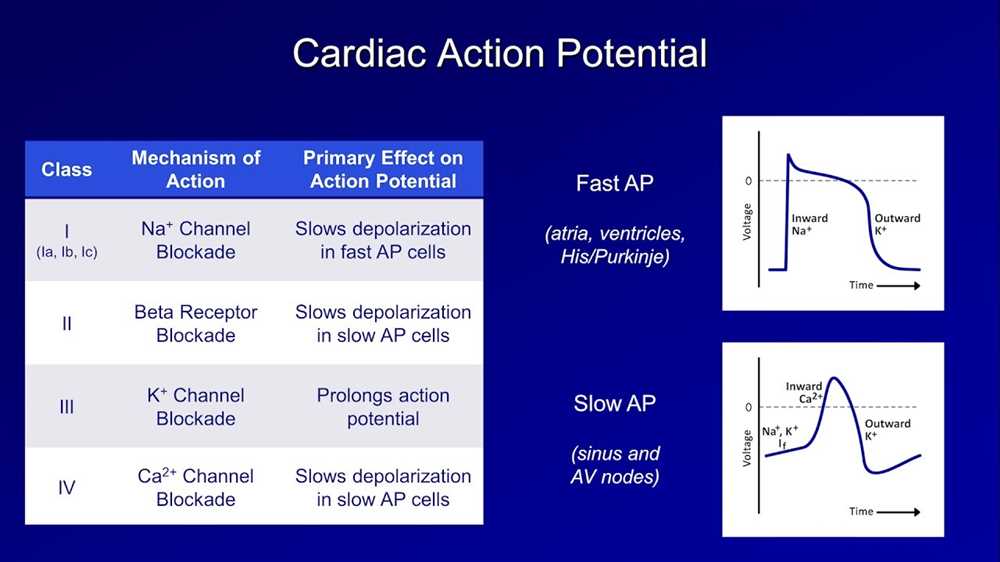 Action potential simulation answers