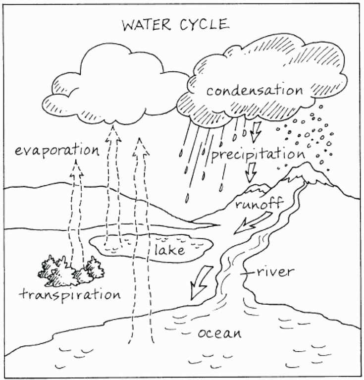 Color by number water cycle answers