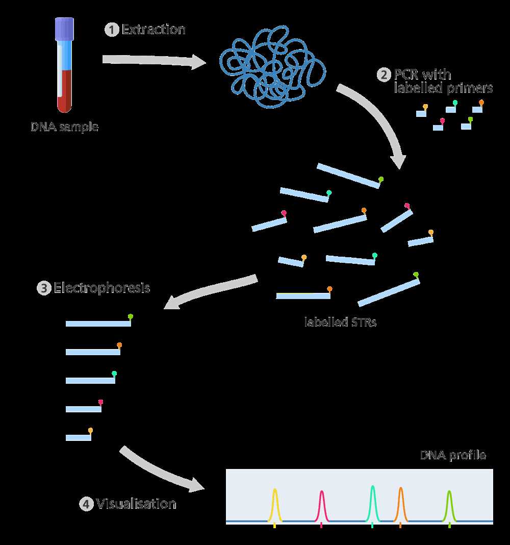 Real world biology analysis dna fingerprinting answers