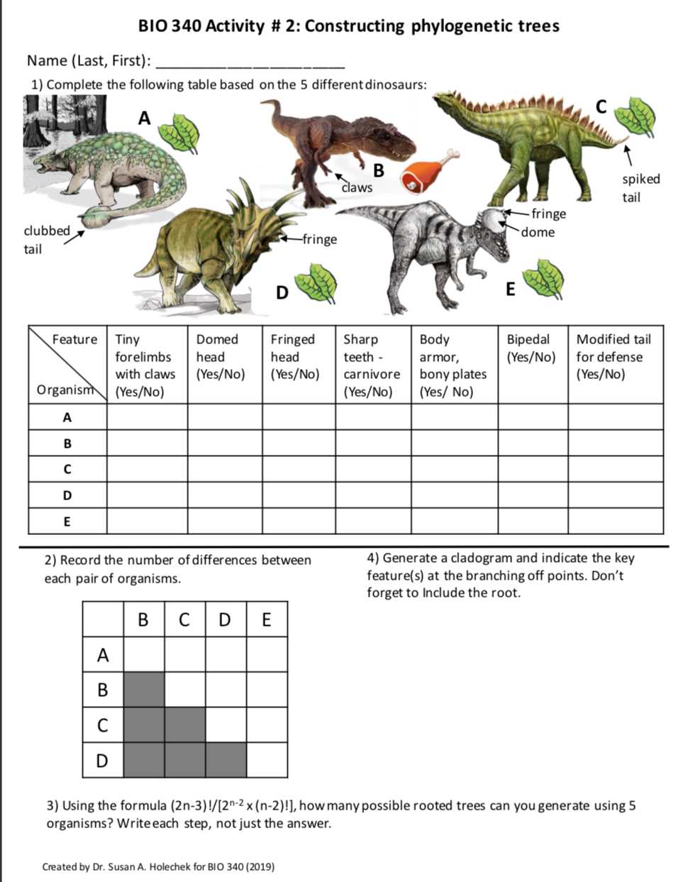 Practice phylogenetic trees 1 answer key pdf