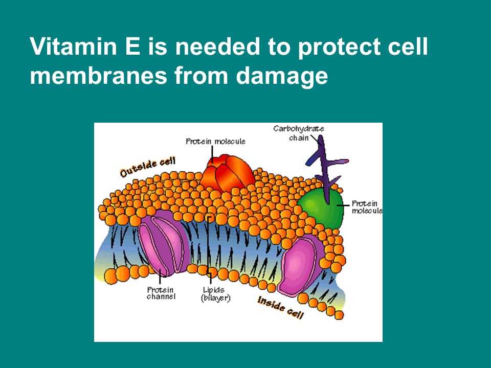 The structure of cells and tissues