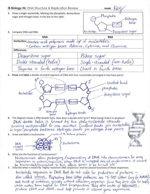 Lab Analysis: Understanding the Results