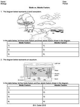 Mastering the Living Environment Regents Review: Your Answer Key to Success