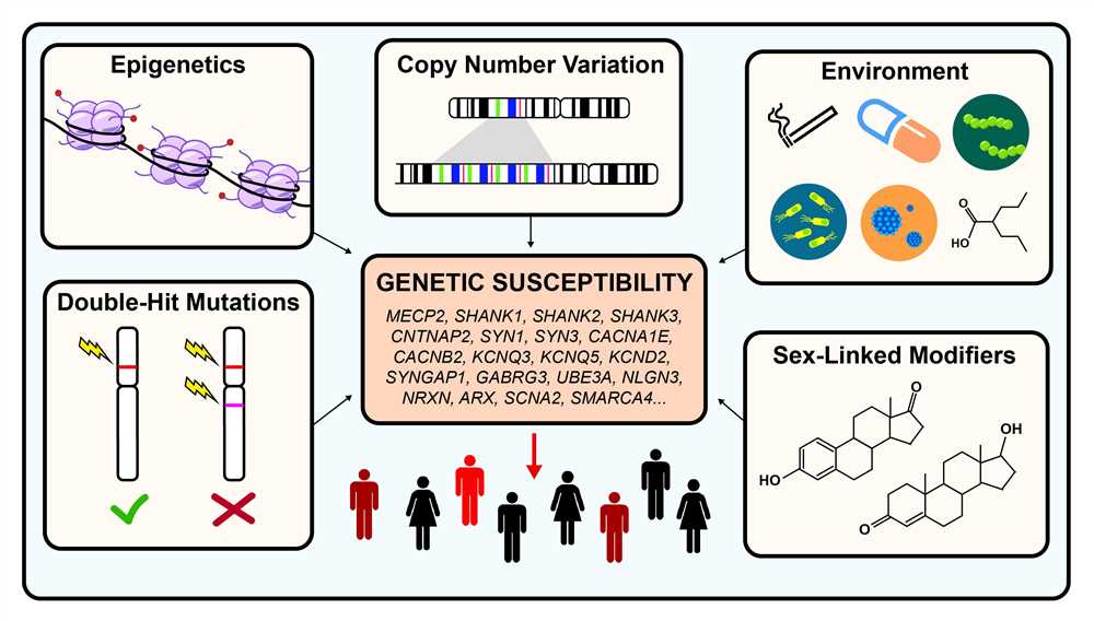 The Structure of DNA: Unraveling the Genetic Code