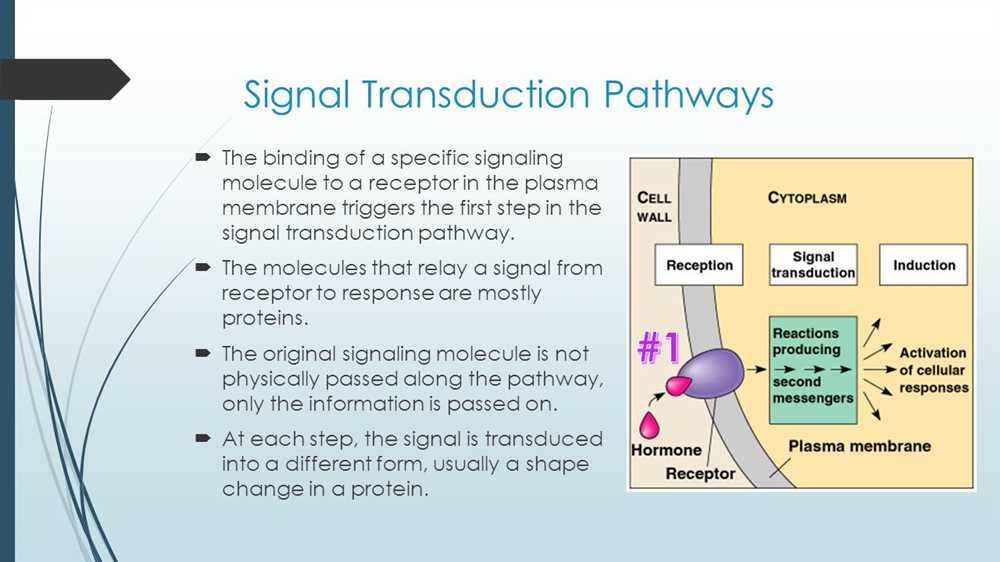 Section 3: Components of signal transduction pathways