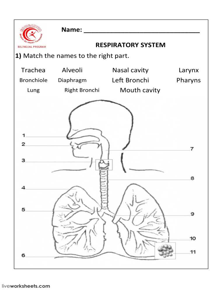 2. Understand Respirator Types