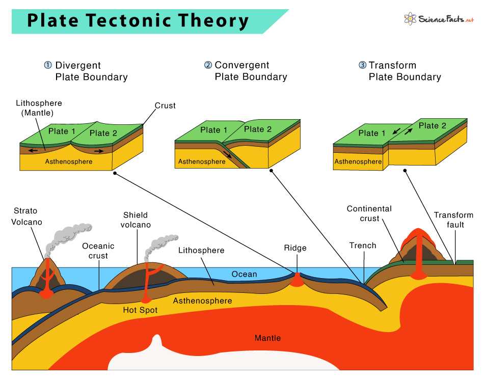 Brainpop plate tectonics answers