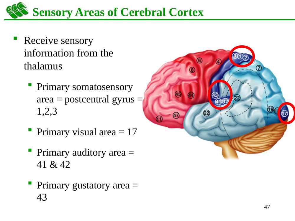 Key Components of the Harris Infant Neuromotor Test