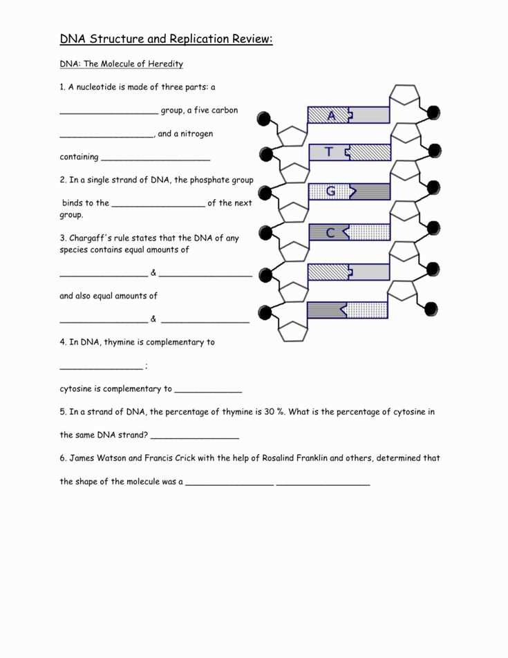 Understanding DNA Replication Mistakes