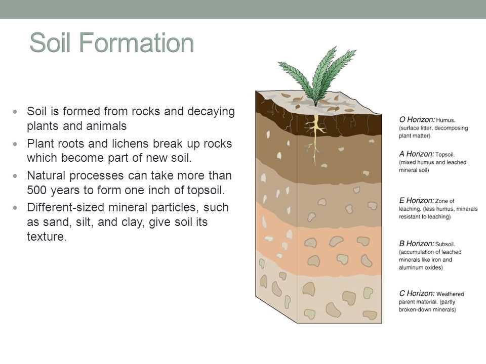 field trip dig it the secrets of soil