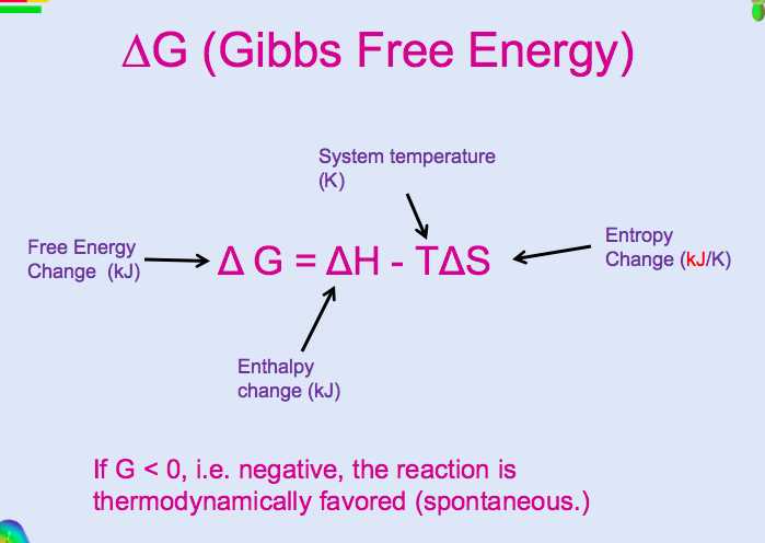 Gibbs free energy worksheet answers