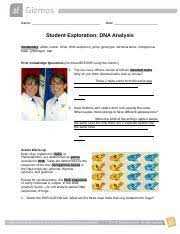 Gizmo dna profiling answer key