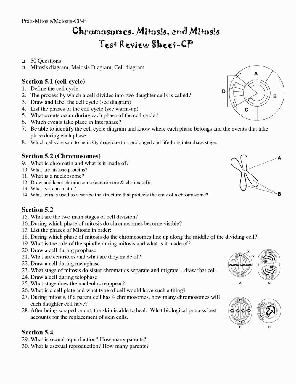 Gizmo household energy usage answer key