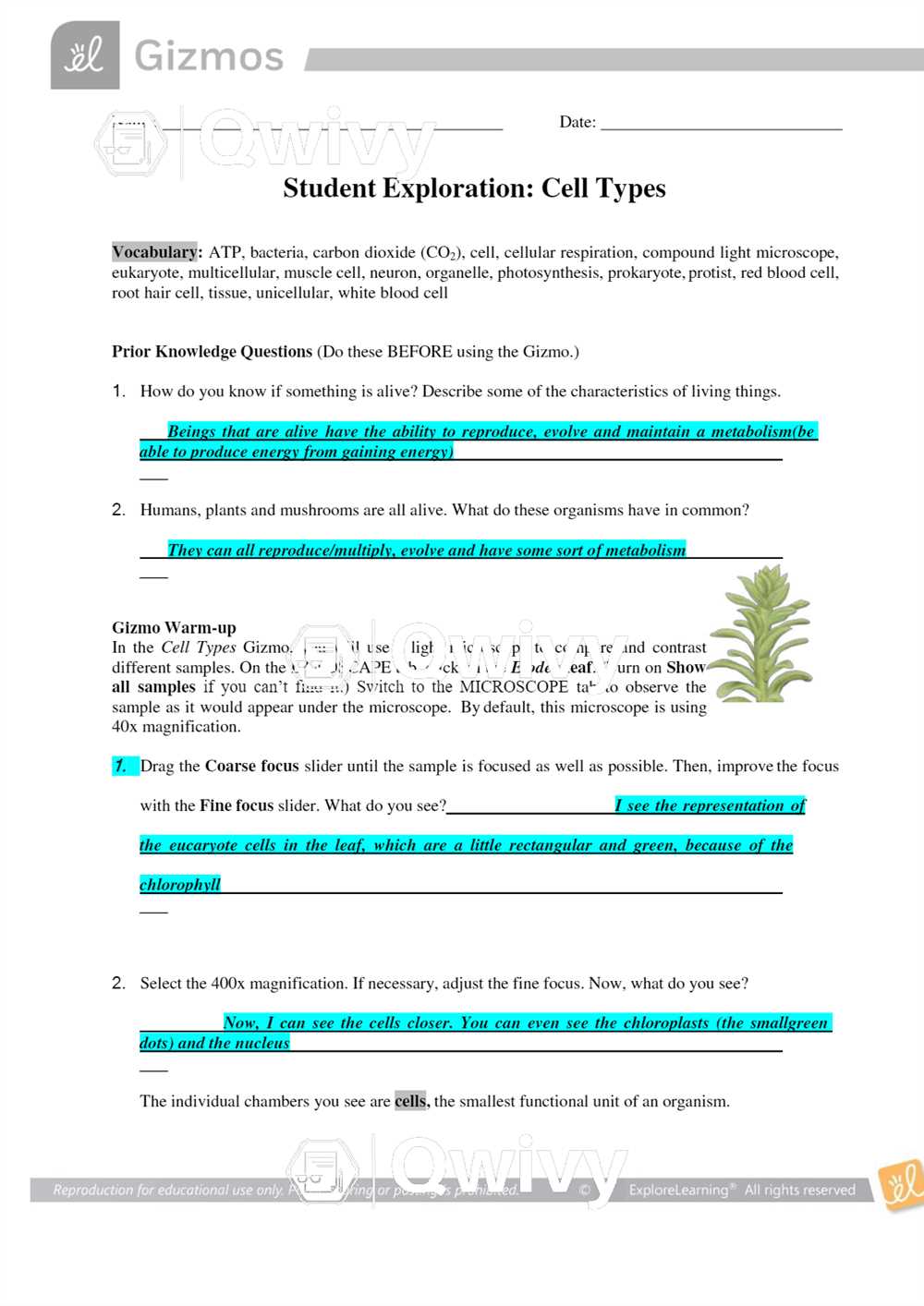 Gizmos Student Exploration Measuring Volume Answer Key: A Comprehensive Guide