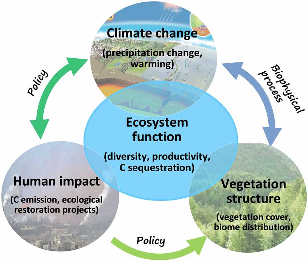 What is Global Climate Change?