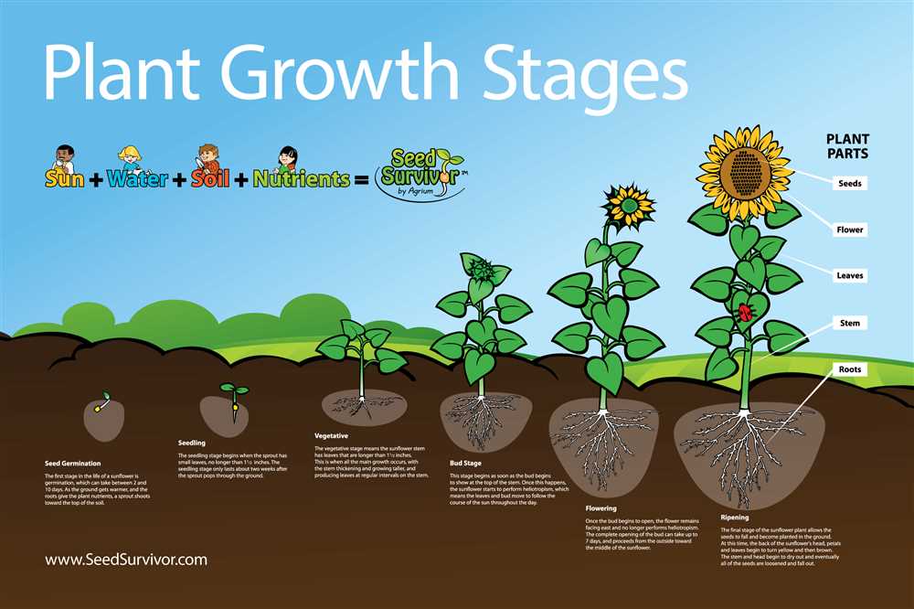 Growing growing growing answer key