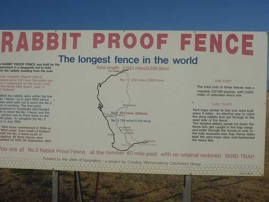 Rabbit proof fence questions and answers