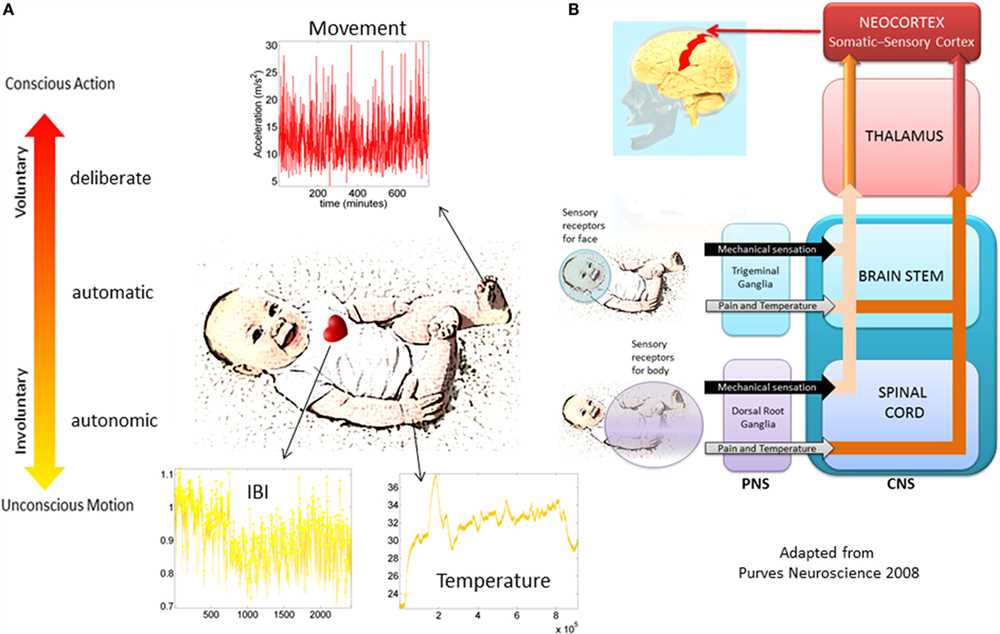 Harris infant neuromotor test