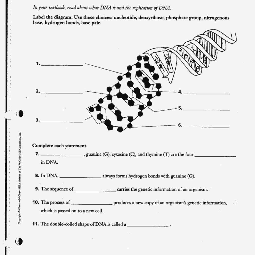 How are Genes Inherited?