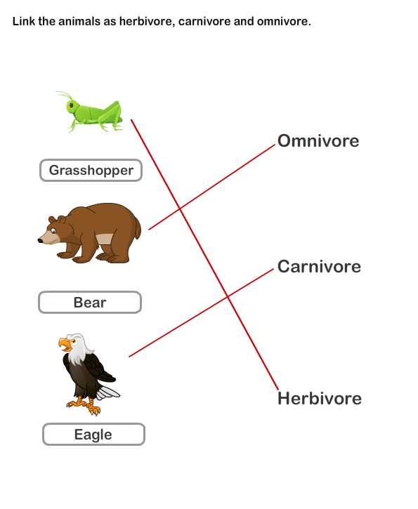 Herbivores: The Plant Eaters