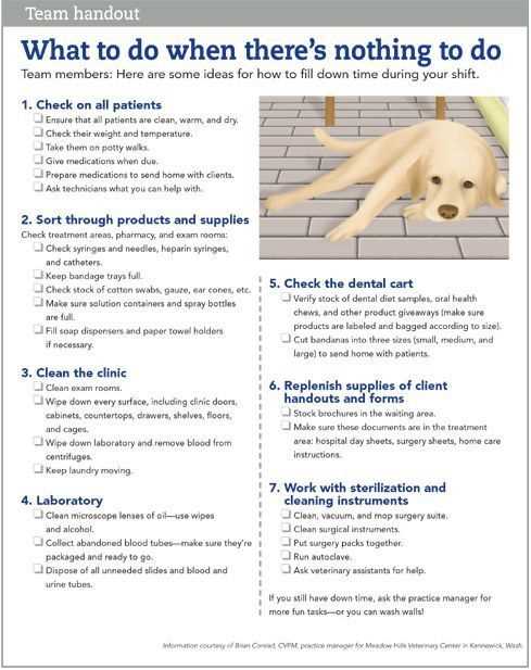 Hosa veterinary science practice test