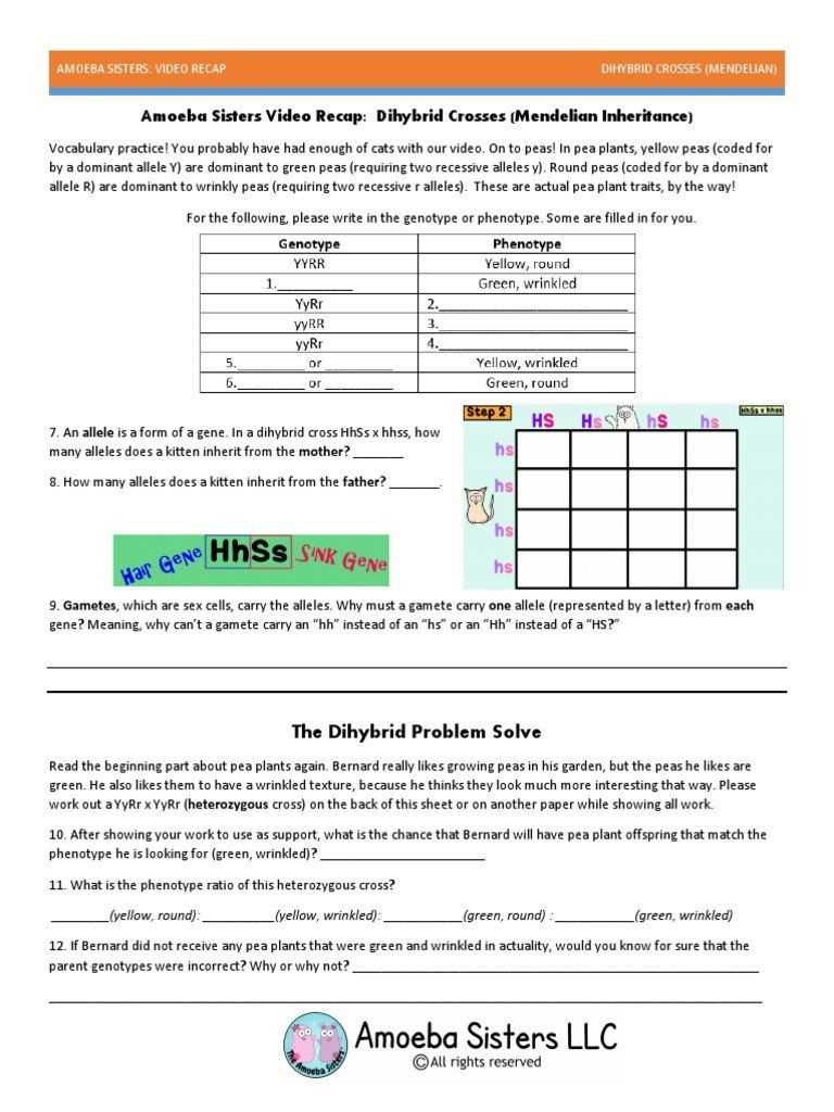 What is a dihybrid cross?