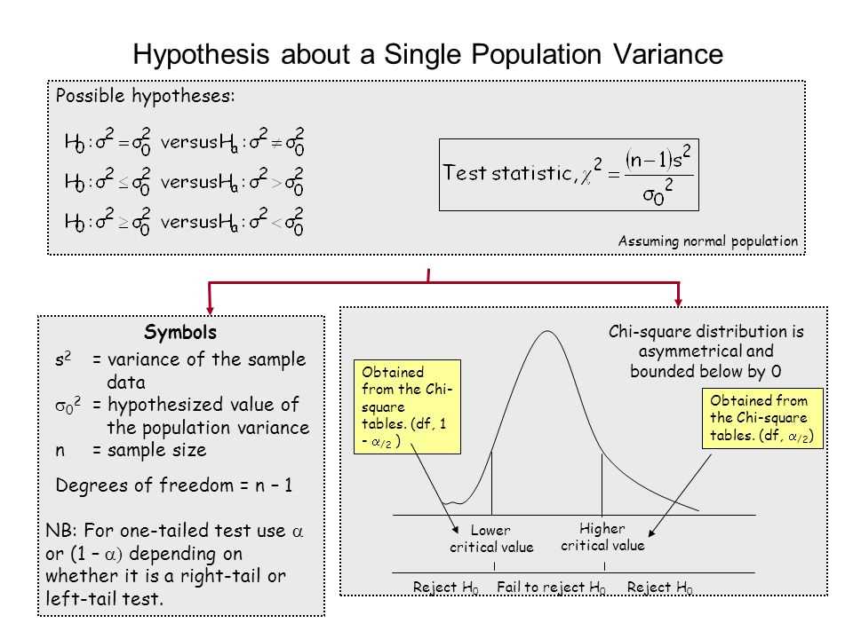 Hypothesis practice using scenarios answer key