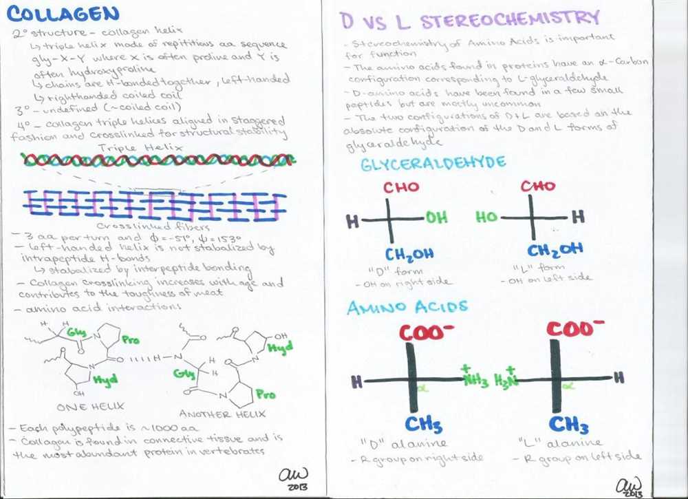 Biochemistry study guide answer key