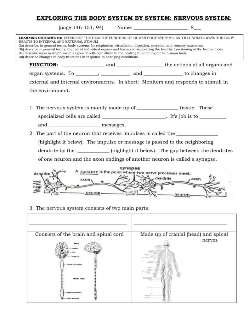 International organizations worksheet answers